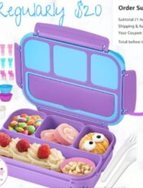 Bento Lunch Box