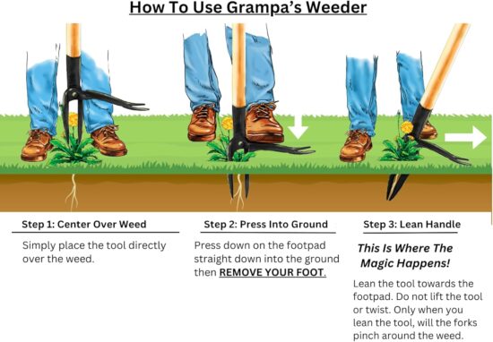 Grampa's Weeder - The Original Stand Up Weed Puller Tool With Long Handle - Image 2