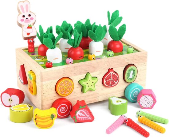 Toddlers Montessori Wooden Educational Toys for Baby Boys Girls Age 1 - 3 Year Old, Shape Sorting Toys, Wood Preschool Learning Fine Motor Skills Game