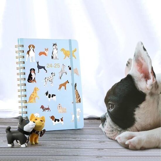 2024-2025 Planner - Weekly & Monthly Planner 2024-2025 with Tabs